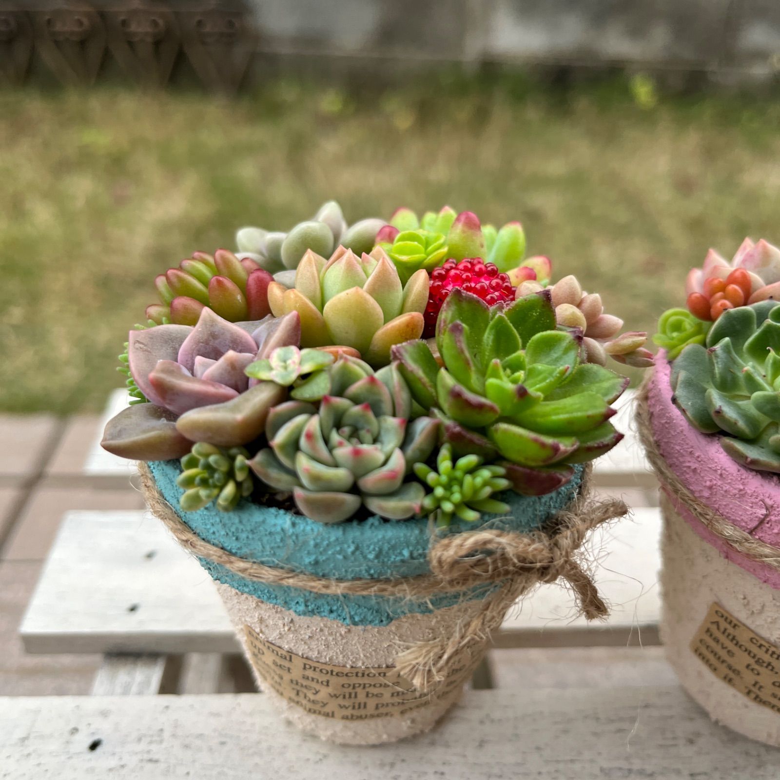 ☆2個セット☆♡そのまま飾れる♡リメ鉢♬多肉植物寄せ植え