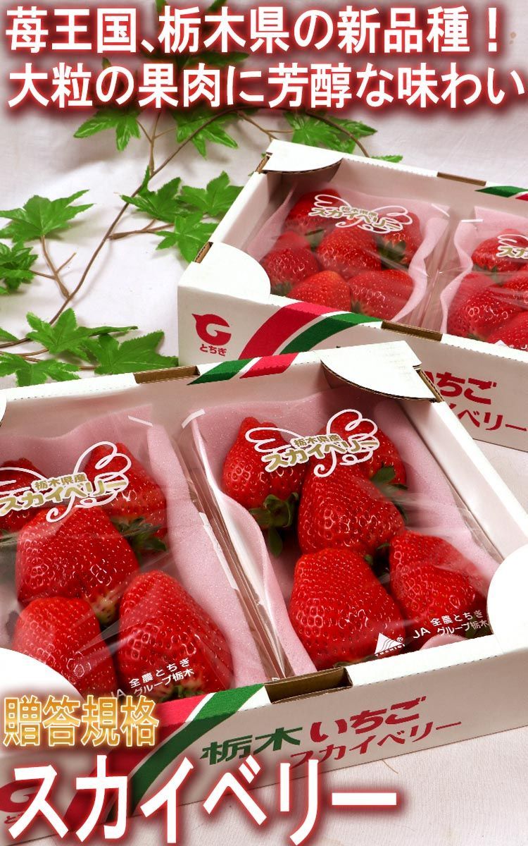 数量限定2024栃木県産　冷凍いちご　50kg 果物
