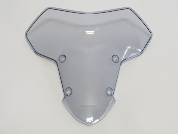 Z H2 SE 2020 以降 スクリーン グレーライトスモーク