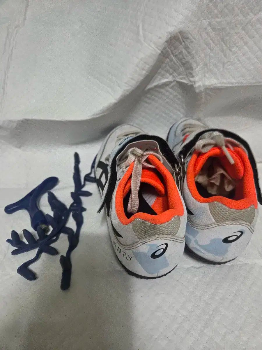 槍投げ マルチスパイクシューズ