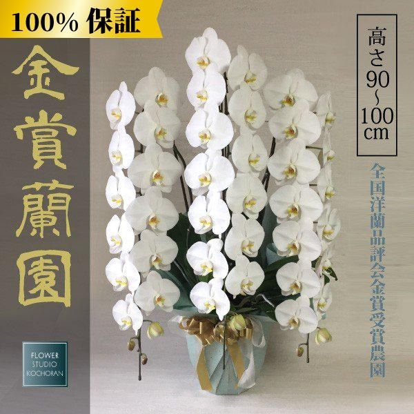 MSX ファランクス（テープ版、32K） MSX チャンピオンズ（テープ版