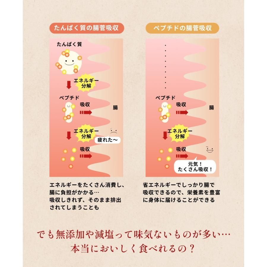 無添加 出汁 おいしいだし 海のペプチド 300g お買得5個セット 体に優しい天然だし 国産 食塩不使用 お手軽粉末だし