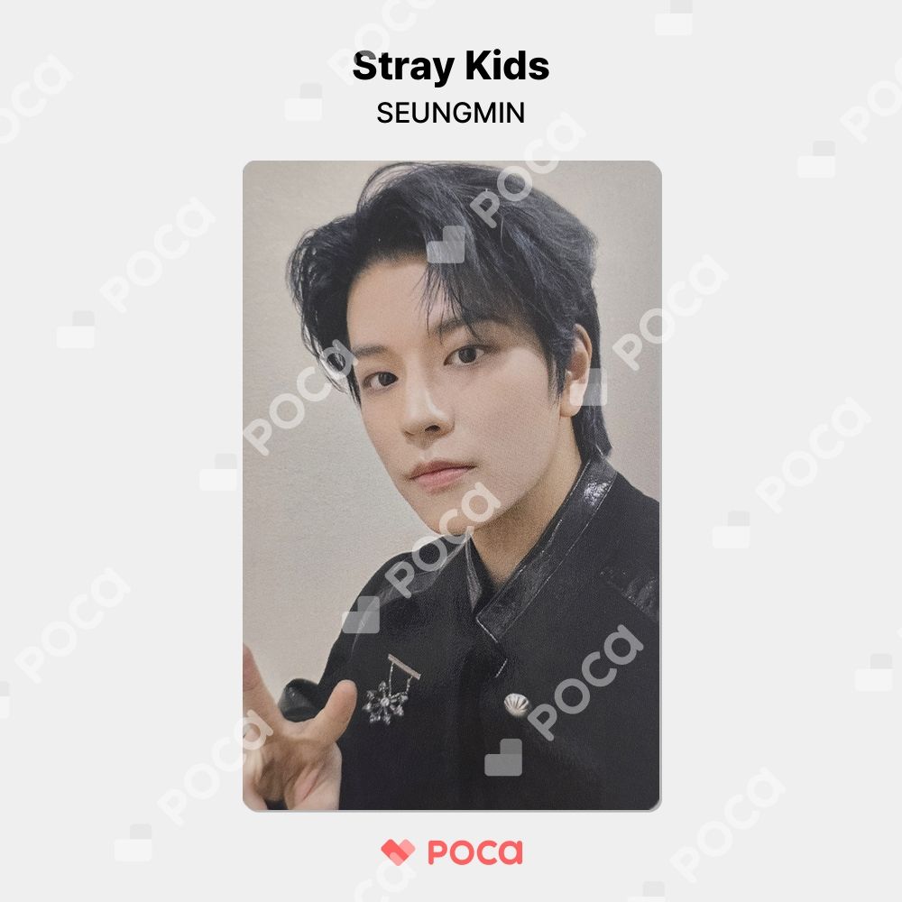 StrayKids スンミン スキズ 樂-STAR ROCK-STAR トレカ straykids スンミン】スキズ 樂-STAR ROCK-STAR YIZHIYU 公式