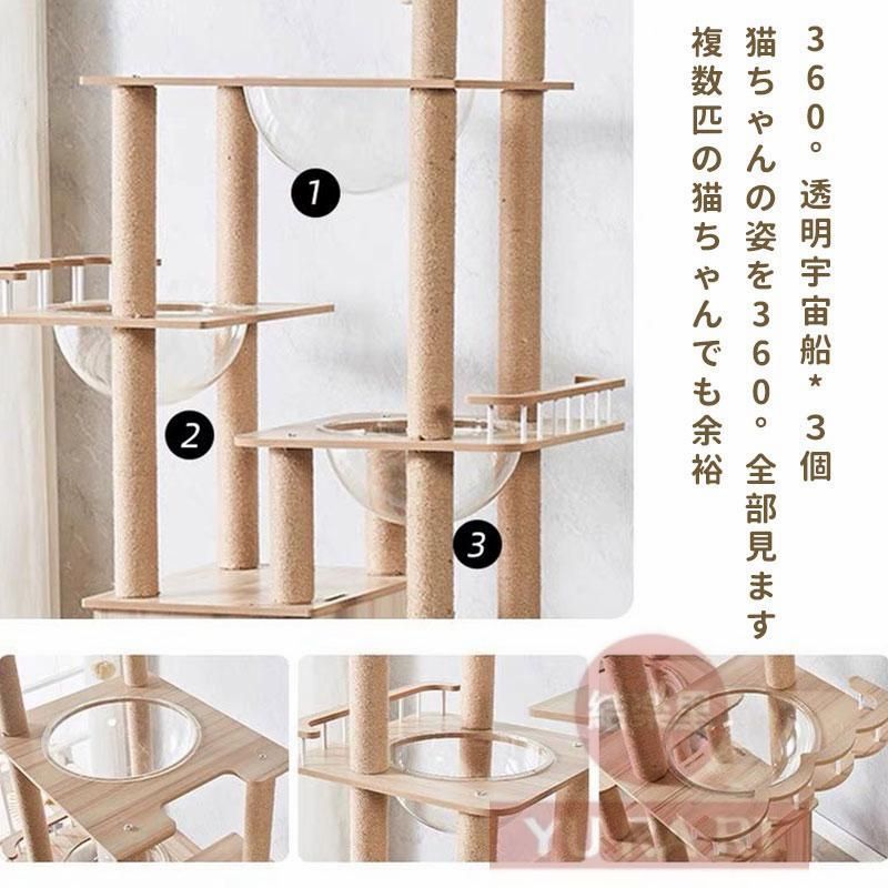 麻紐 運動不足