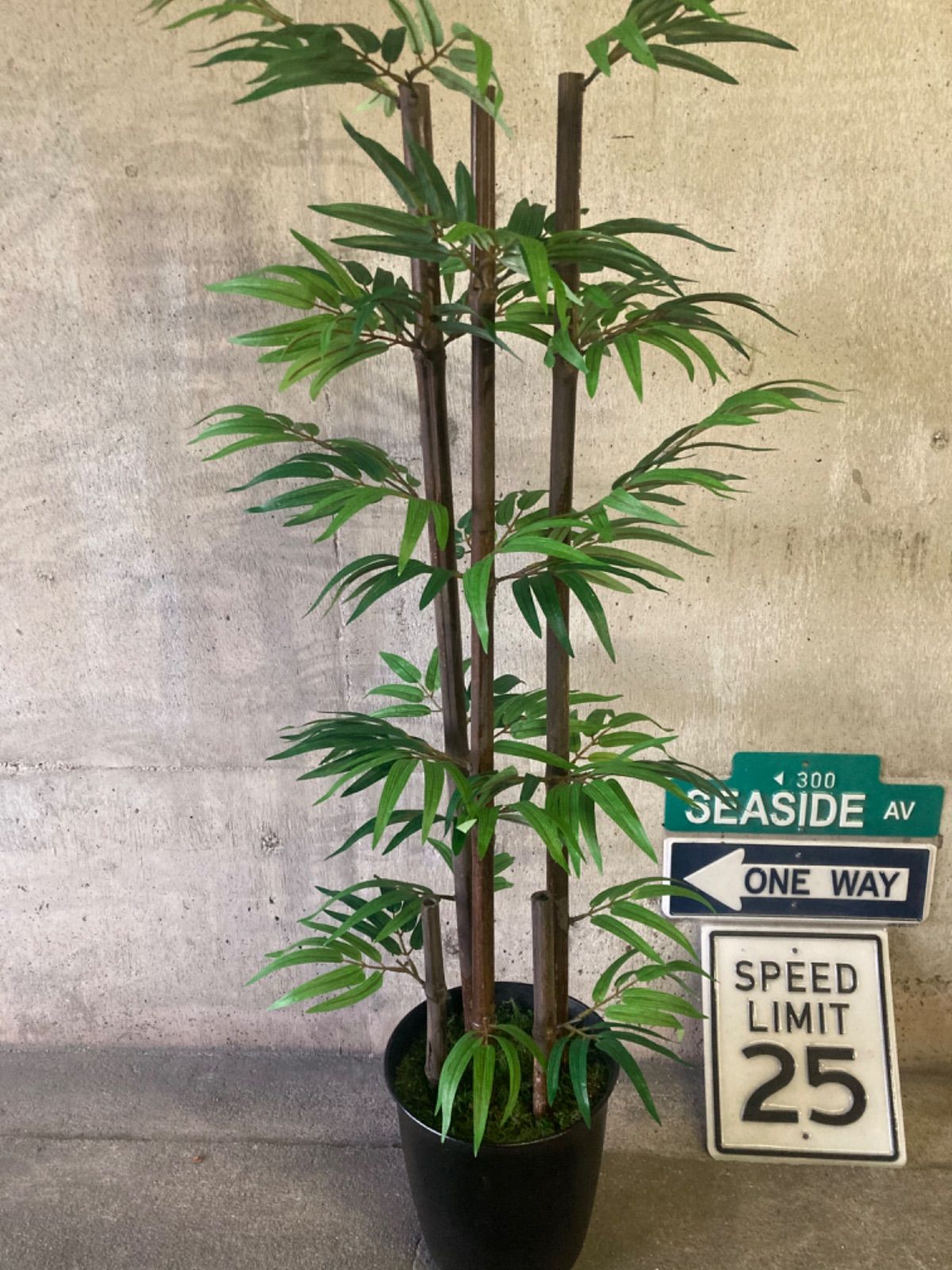 光触媒 人工観葉植物