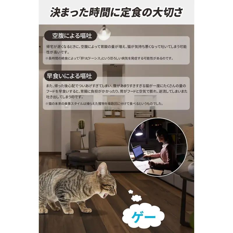 中型犬用 -