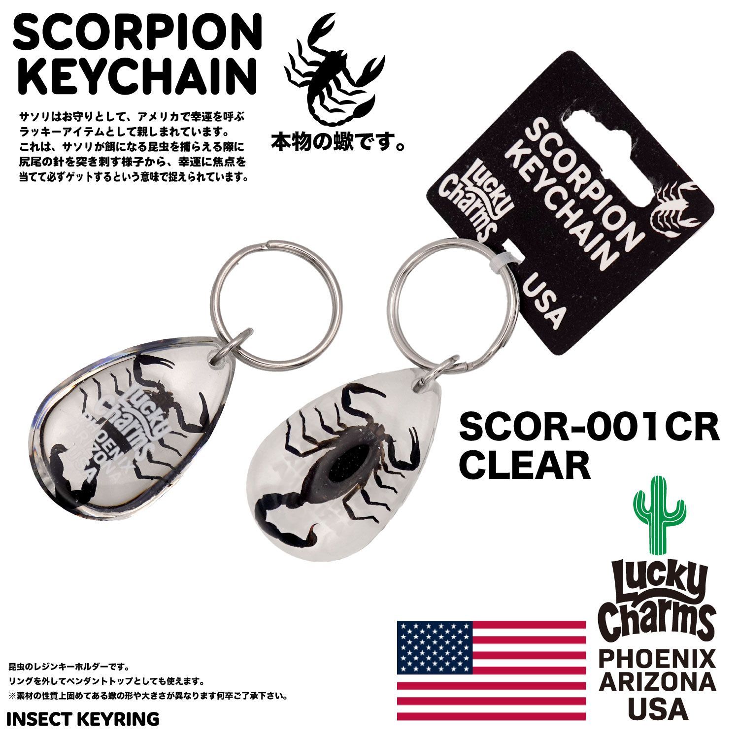 USA ARIZONA SCORPION DROP KEYCHAIN 蠍 サソリ スコーピオン