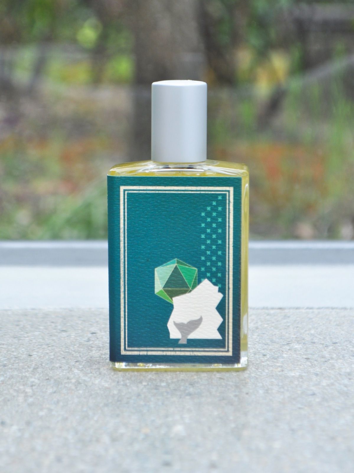 IMAGINARY AUTHORS《EVERY STORM A SERENADE》「嵐のセレナーデ