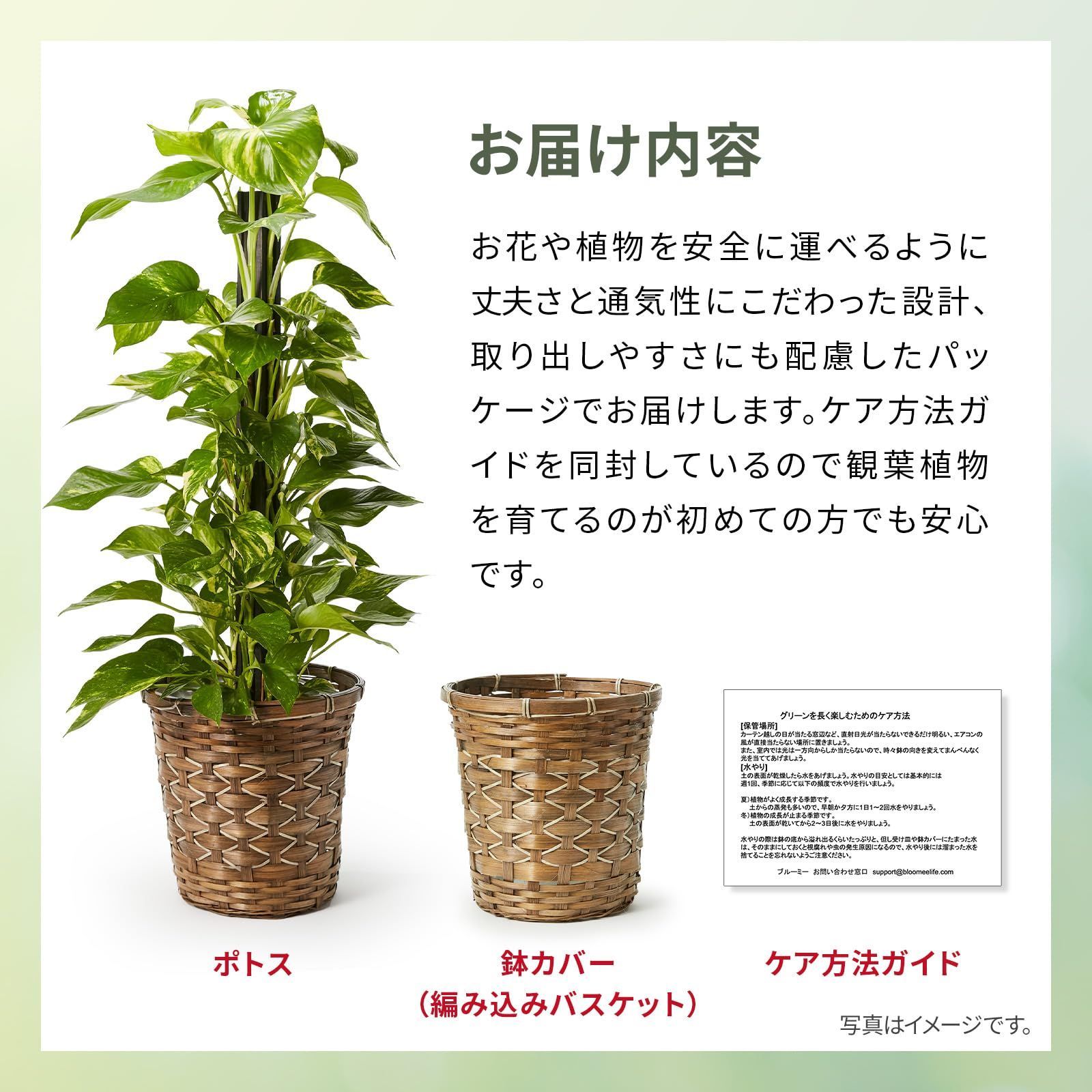 開店祝い 結婚式