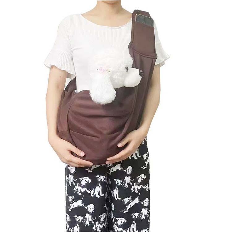 小型犬