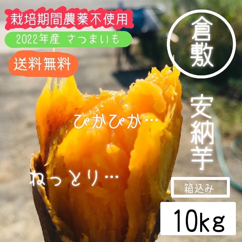 安納芋 箱込み1.2kg さつまいも - 野菜