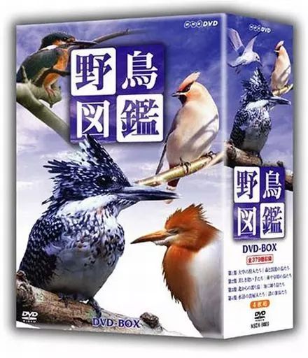 野鳥図鑑dvd 中古】その他DVD 野鳥図鑑 DVD-BOX - メルカリ