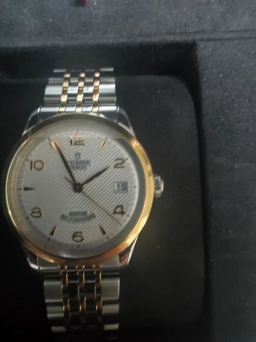 TUDOR(チューダー) 1926 コンビ