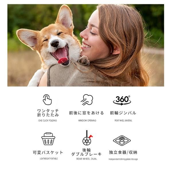 組立簡単 工具不要