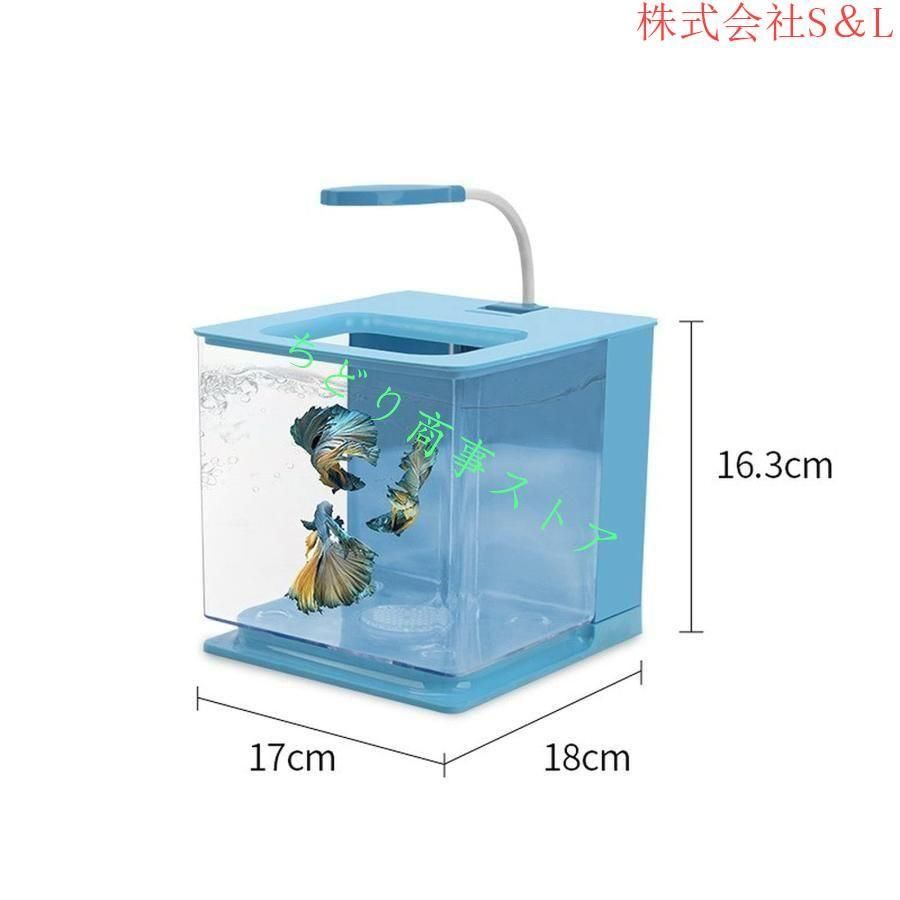 株式会社S＆L照らされた四角い箱 魚飼育