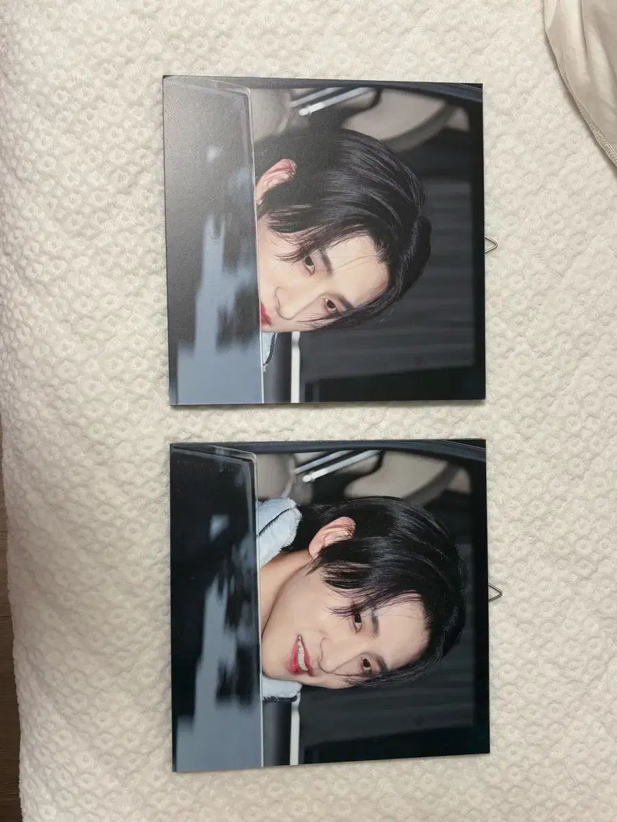 中古】 金井美恵子の想像的世界 / 芳川 泰久 / 水声社