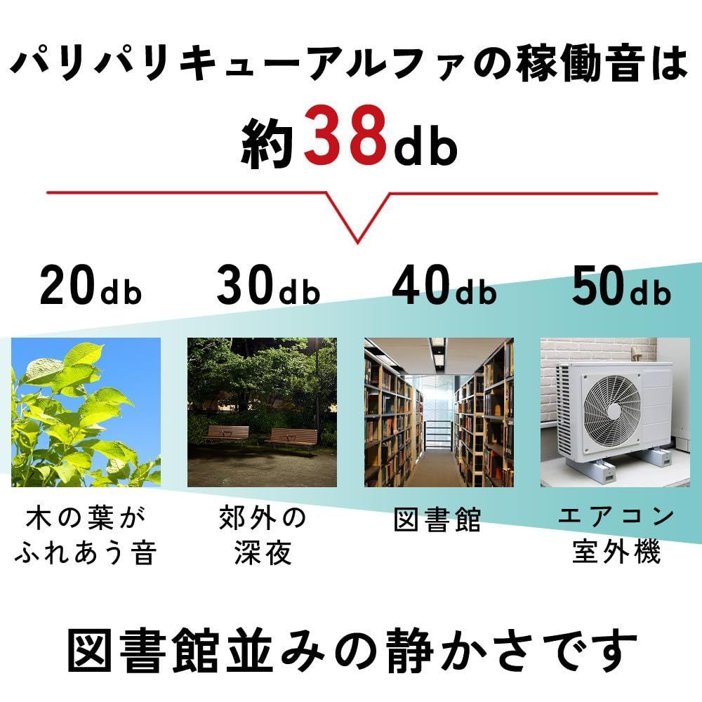 パリパリキュー アルファ 生ゴミ処理機 家庭用 温風乾燥式 助成金対象 PPC-51-BK SKLAD-KIRPICHA_RU