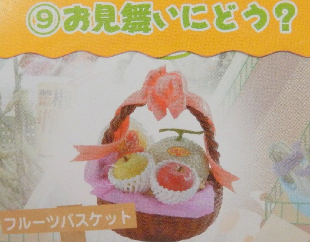 リーメント ぷちやおやさん 9.お見舞いにどう?