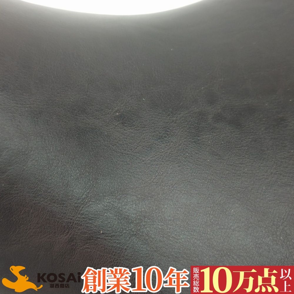 エリミネーターSE