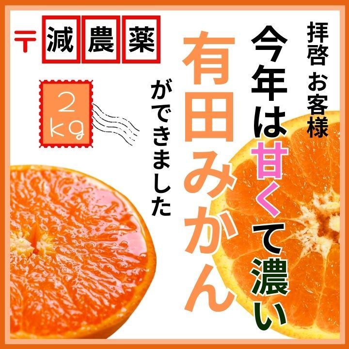 高いコスパ！数量限定！甘い 有田みかん2kg 早生 - 果物