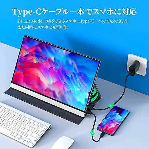 モバイルモニター モバイルディスプレイcocopar 15.6インチ スイッチ用