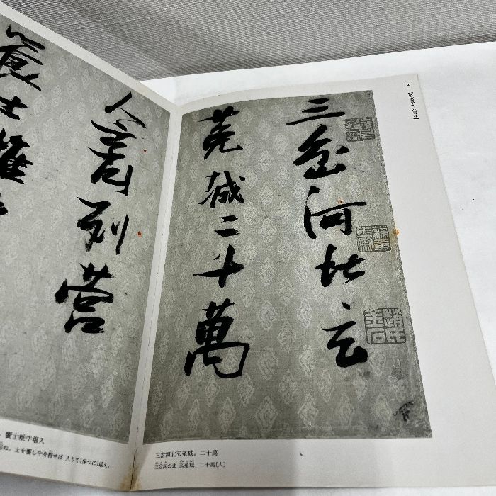 中国法書選 52 張瑞図集 二玄社 中国書道 - メルカリ