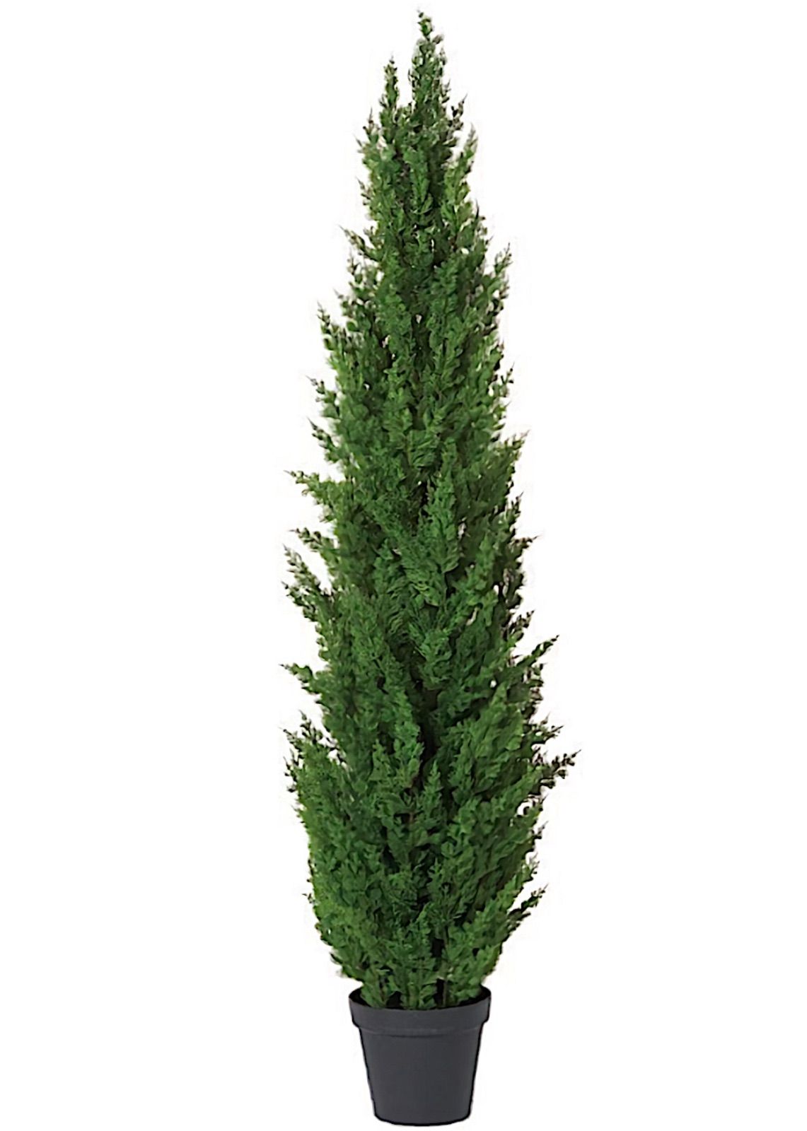 光触媒人工観葉植物ウォールグリーンフェイクグリーンサイプレスポット150