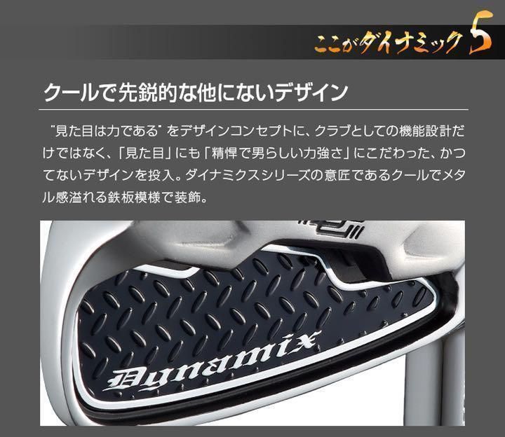 超爆安6本セット ダイナゴルフ ダイナミクス アイアン スチール