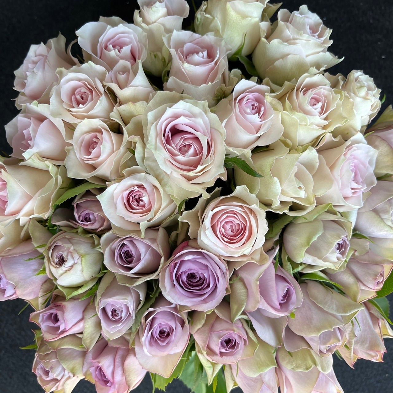 バラ 切り花・生花＊くすみ系パープル＆ピンクハーフ＆ハーフ＊ 30㎝SM