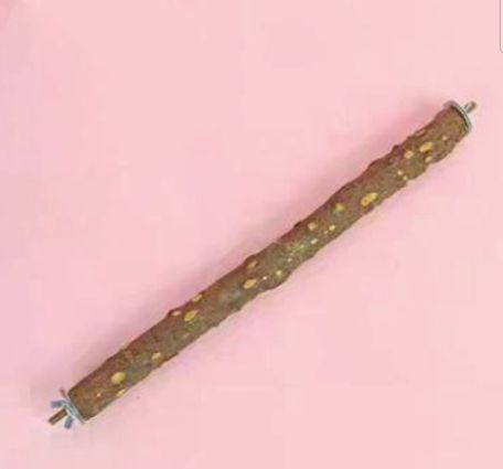 外に出て透明バックパック鳥かご