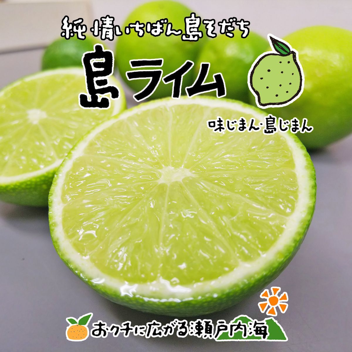 希望の島 ライム 10kg 家庭用 愛媛県 中島産 国産ライム