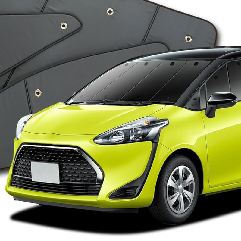 ラスト在庫 ヴァイスシュヴァルツ SP ヒンデンブルク 購入