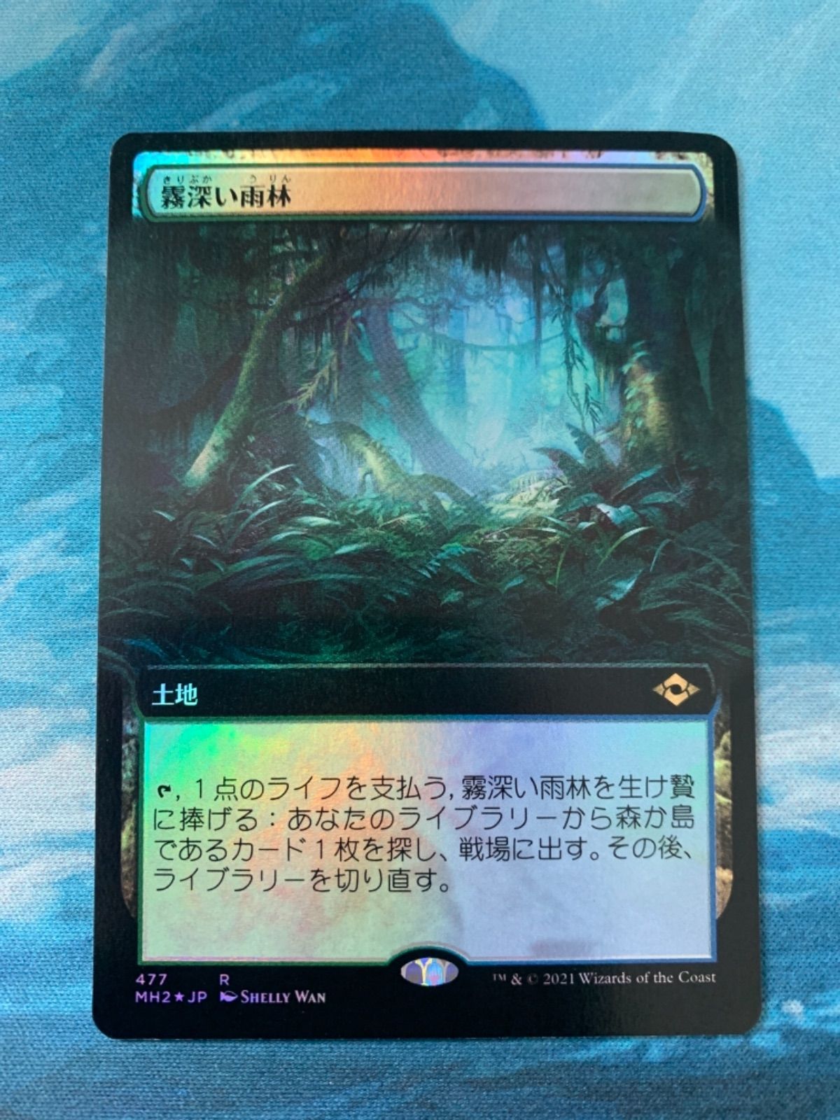 MTG foil 霧深い雨林 - www.port-toamasina.com