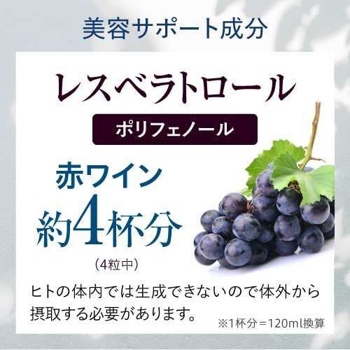 公式