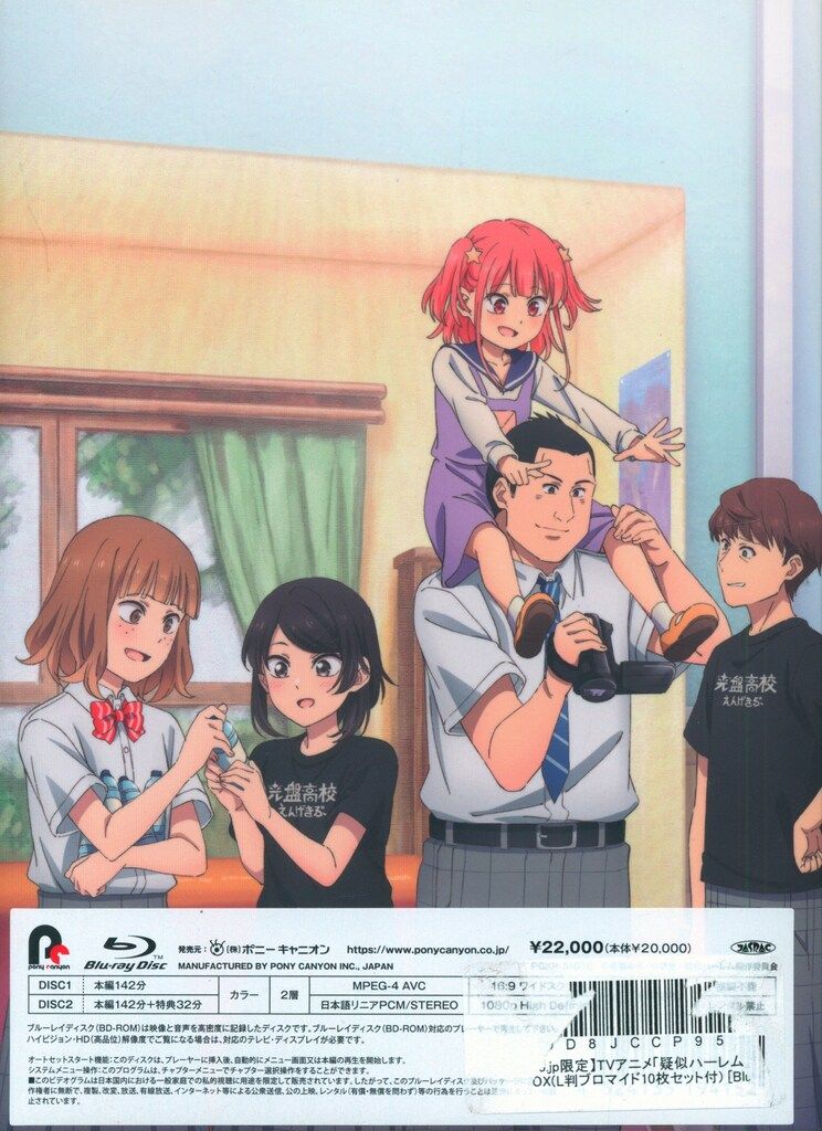 アニメBlu-ray 疑似ハーレム Blu-ray BOX - メルカリ