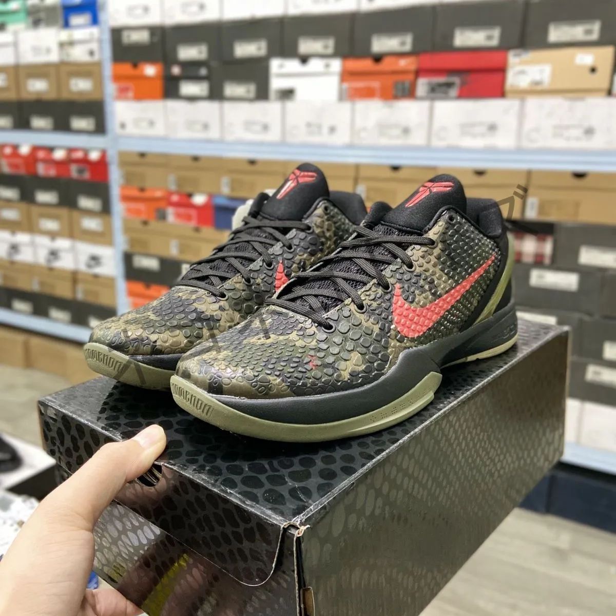 美品箱付  Nike Kobe 6 Protro VI コービー6 プロトロ  メンズ  スニーカー F