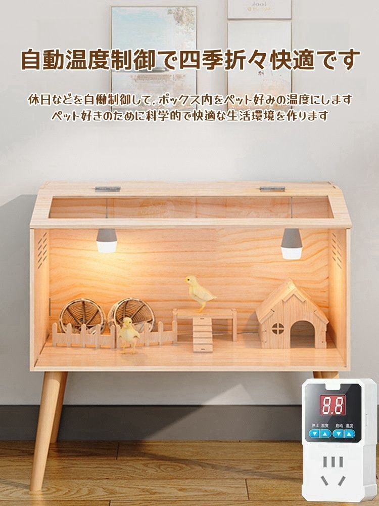 爬虫類