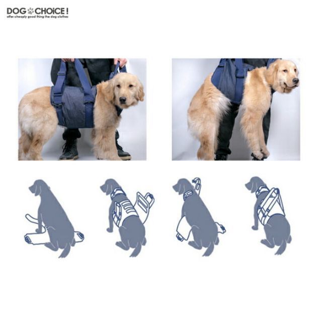 犬 ペット用