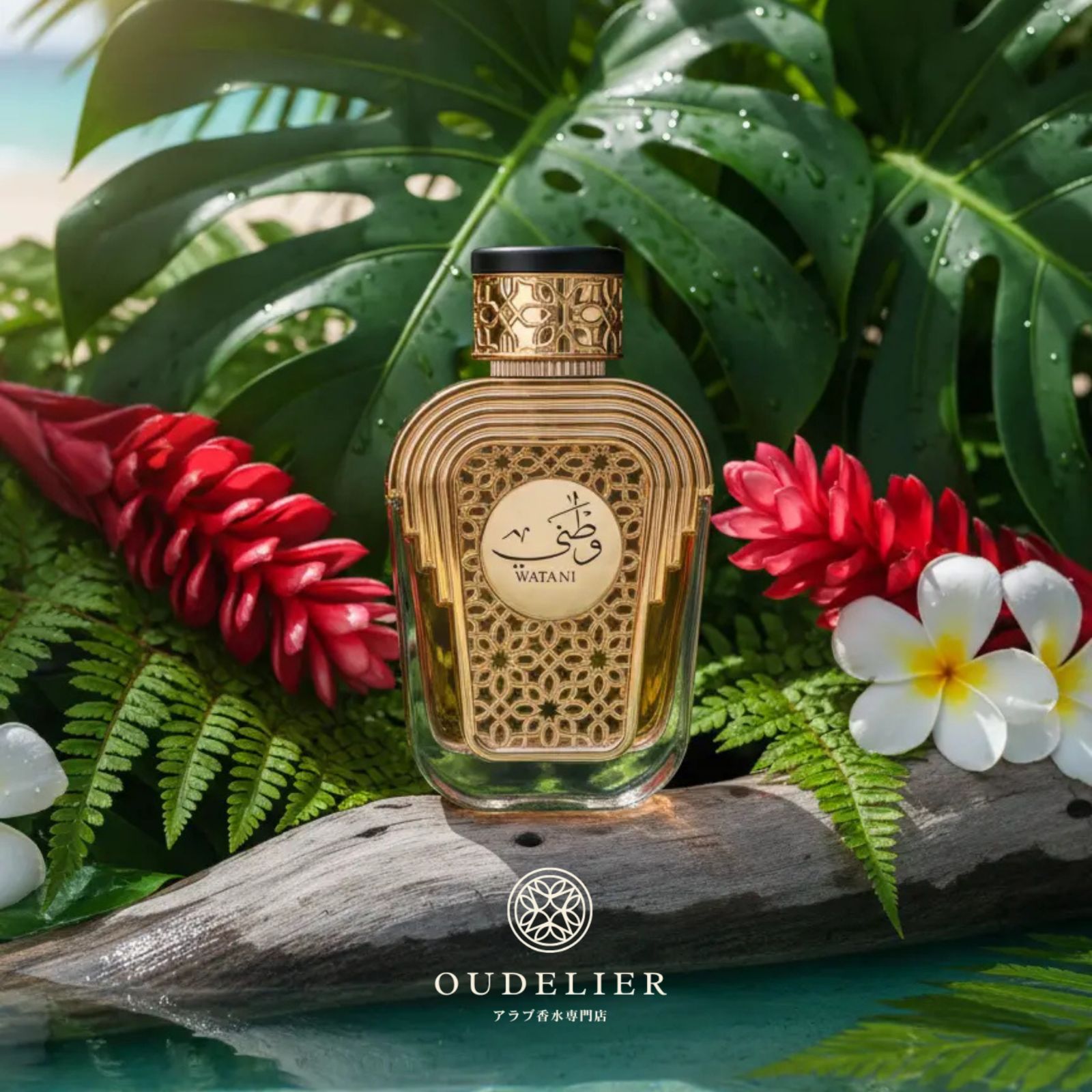 Al Wataniah Watani Purple EDP オードパルファム 100 ml レディース 香水 フレグランス 香水人気ランキング 香水ブランド別