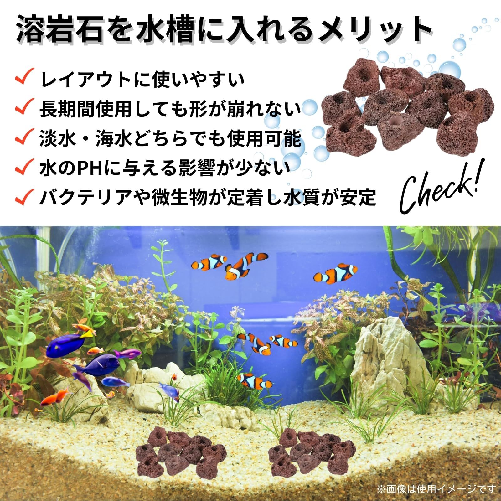 Studio Curtain 穴あき 溶岩石 アクアリウム レイアウト メダカ Studio Curtain 穴あき 溶岩石 アクアリウム レイアウト メダカ