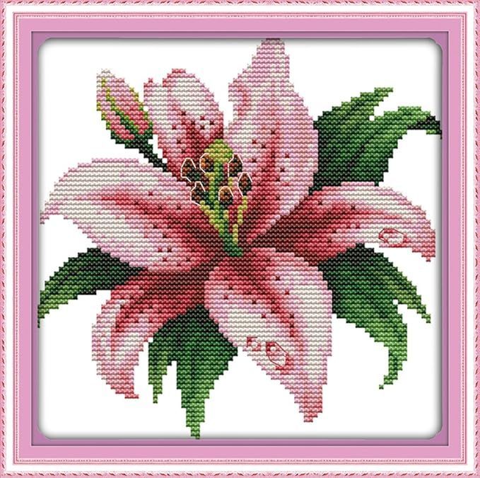 Amazon | LovetheFamily クロスステッチキット 日本語解説書 DIY 手作り刺繍キット 正確な図柄印刷クロスステッチ 家庭刺繍装飾品  11CT （ インチ当たり11個の小さな格子）中程度の格子 刺しゅうキット フレームがない 漫画シリーズ | 刺しゅうキット 通販  LovetheFamily ... LovetheFamily クロスステッチキット DIY 手作り刺繍キット 正確な図柄印刷クロスステッチ 家庭刺繍装11CT （ イ