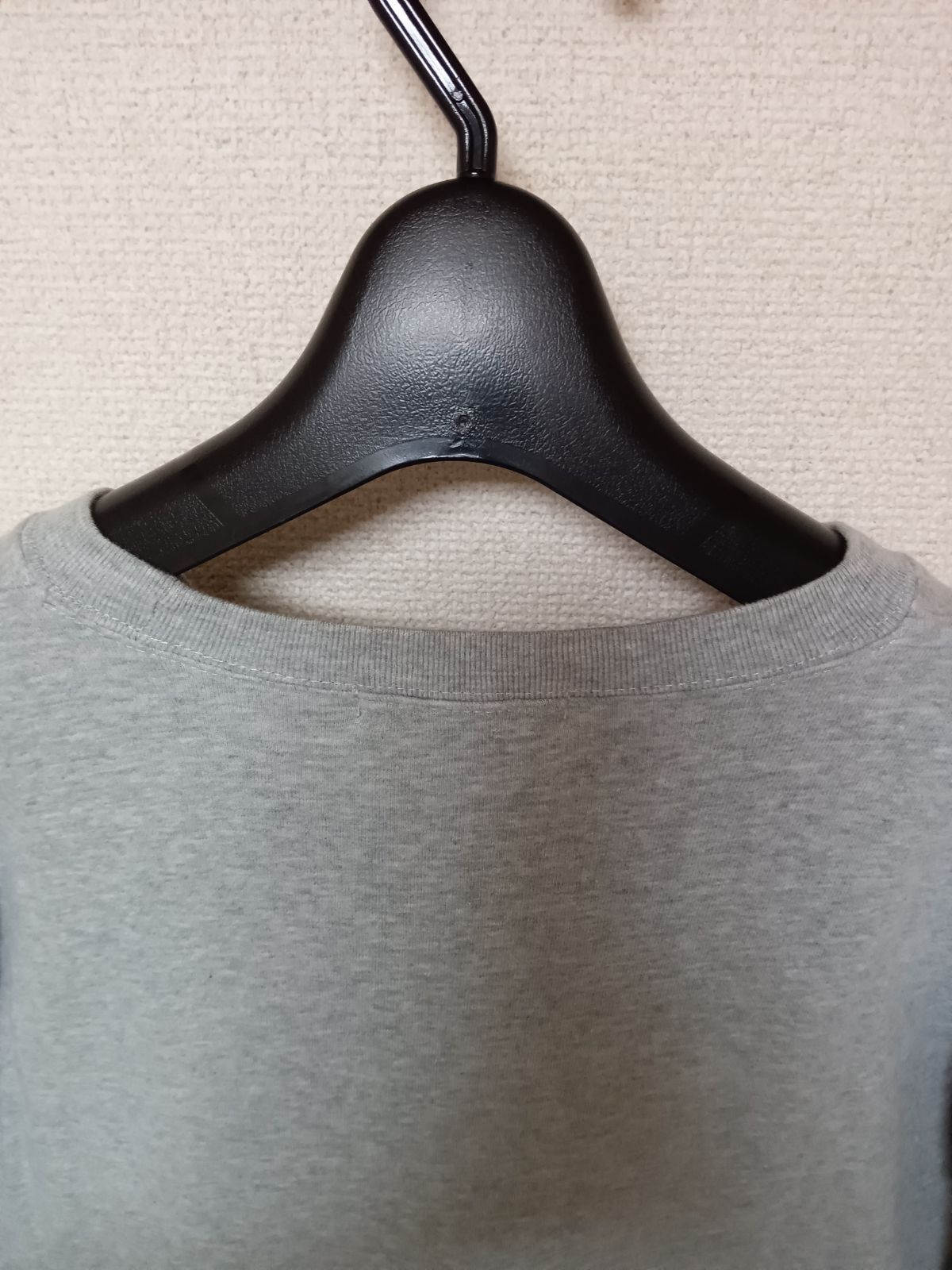 Brook ブラウン・トラウト トレーナー Lサイズ Brookブルックスウェットトレーナートラウト魚フィッシング