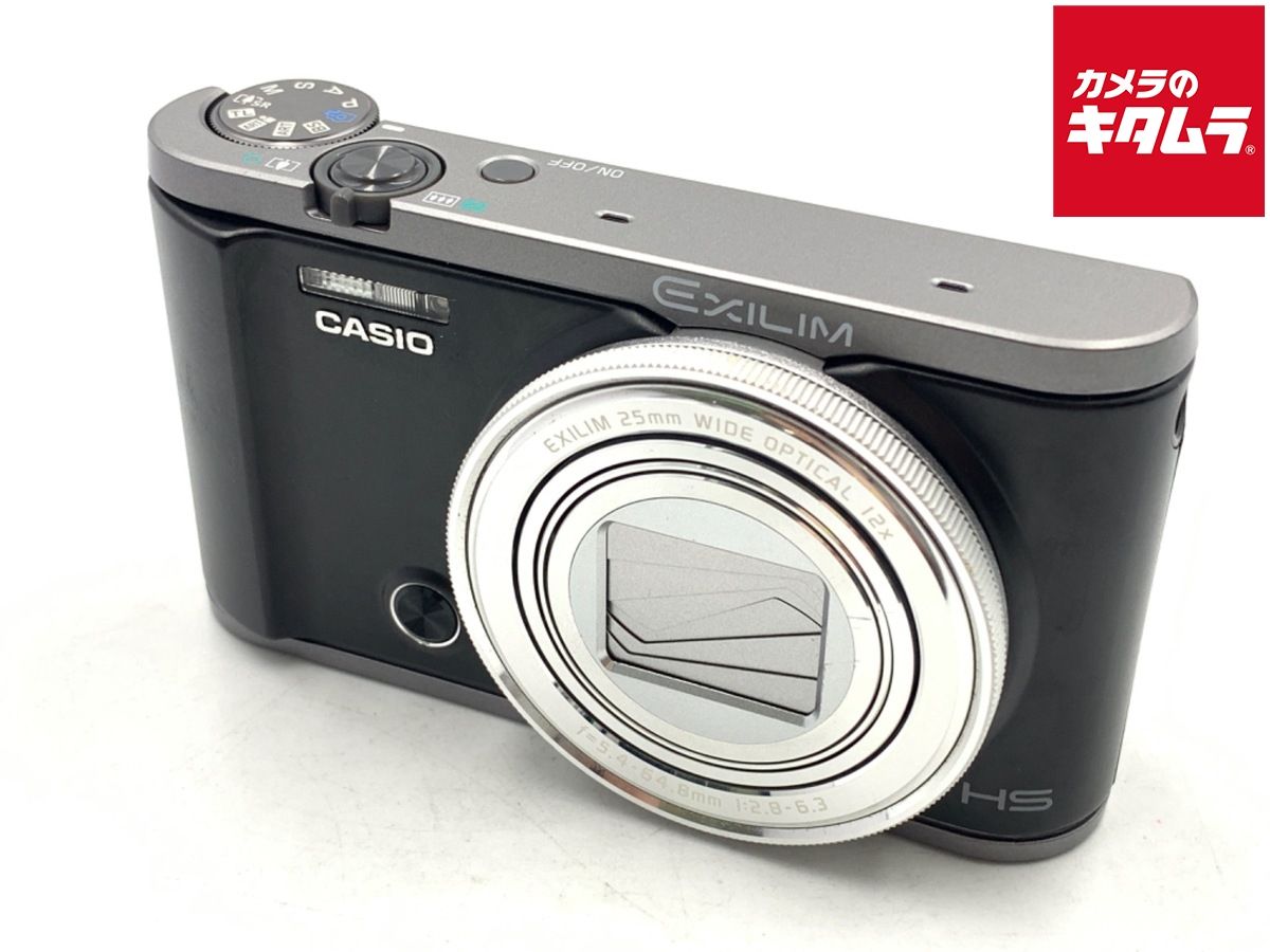 ココスヤシ 斑入り 10号ポットつき 激レア❗ ② ココスヤシ10