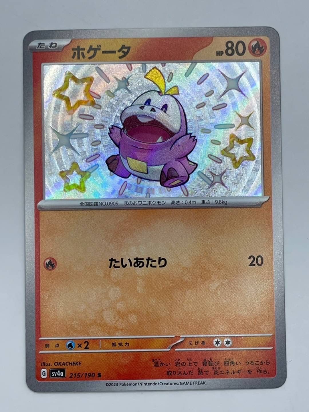 中古品】ホゲータ HP80 215/190 S 炎/スカーレット