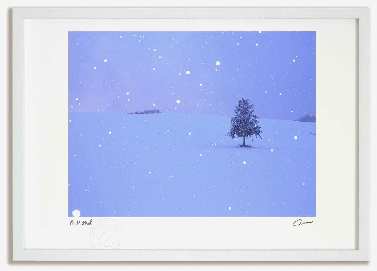 アートフォト 絵画 ベスト 春よ恋の木1 高橋真澄 インテリア 額入り 額装込 風景画 油絵 ポスター アート アートパネル リビング 玄関 プレゼント モダン アートフレーム 飾る Mサイズ おしゃれ 壁掛け 絵