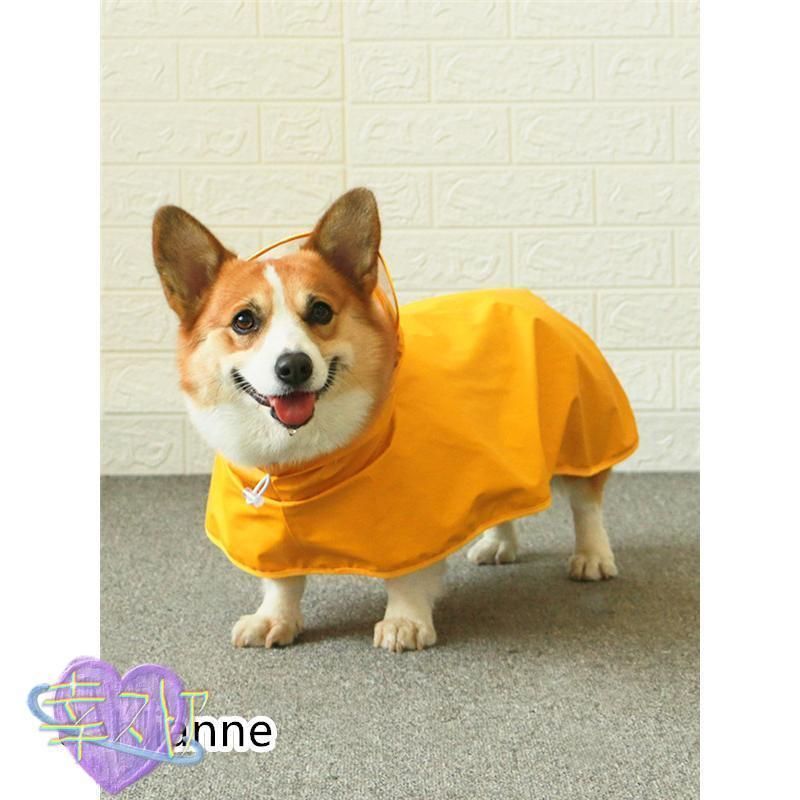 雨具 ポンチョ