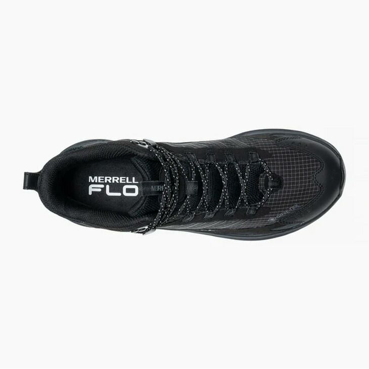 山登り トレイル