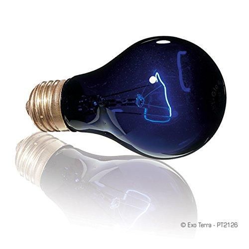 GEX EXOTERRA ナイトグロー ムーンライトランプ 50W 夜行性爬虫類用