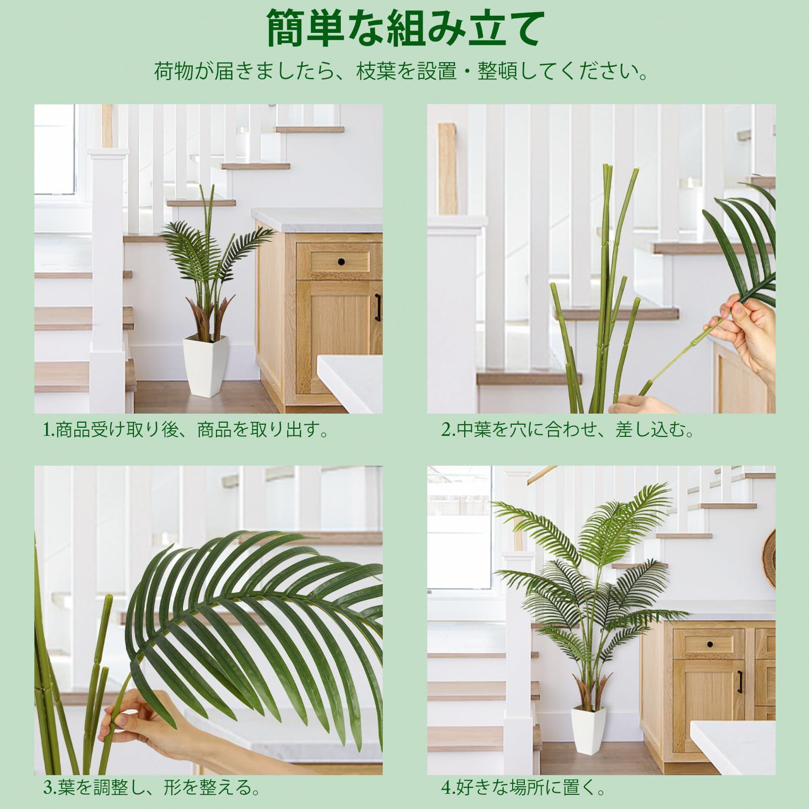 熱帯のヤシの木