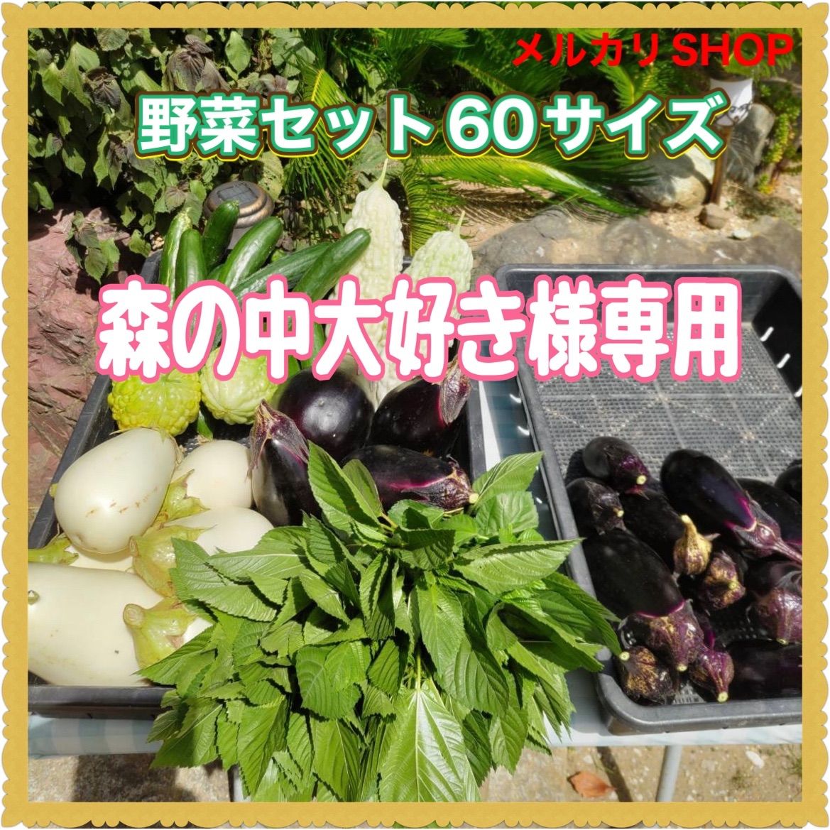 森の中大好き様専用】畑直送!野菜セット60サイズクール便 - KN